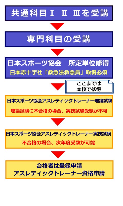 アスレティックトレーナー 専門科目テキスト 全巻 生理学 東洋医学概論